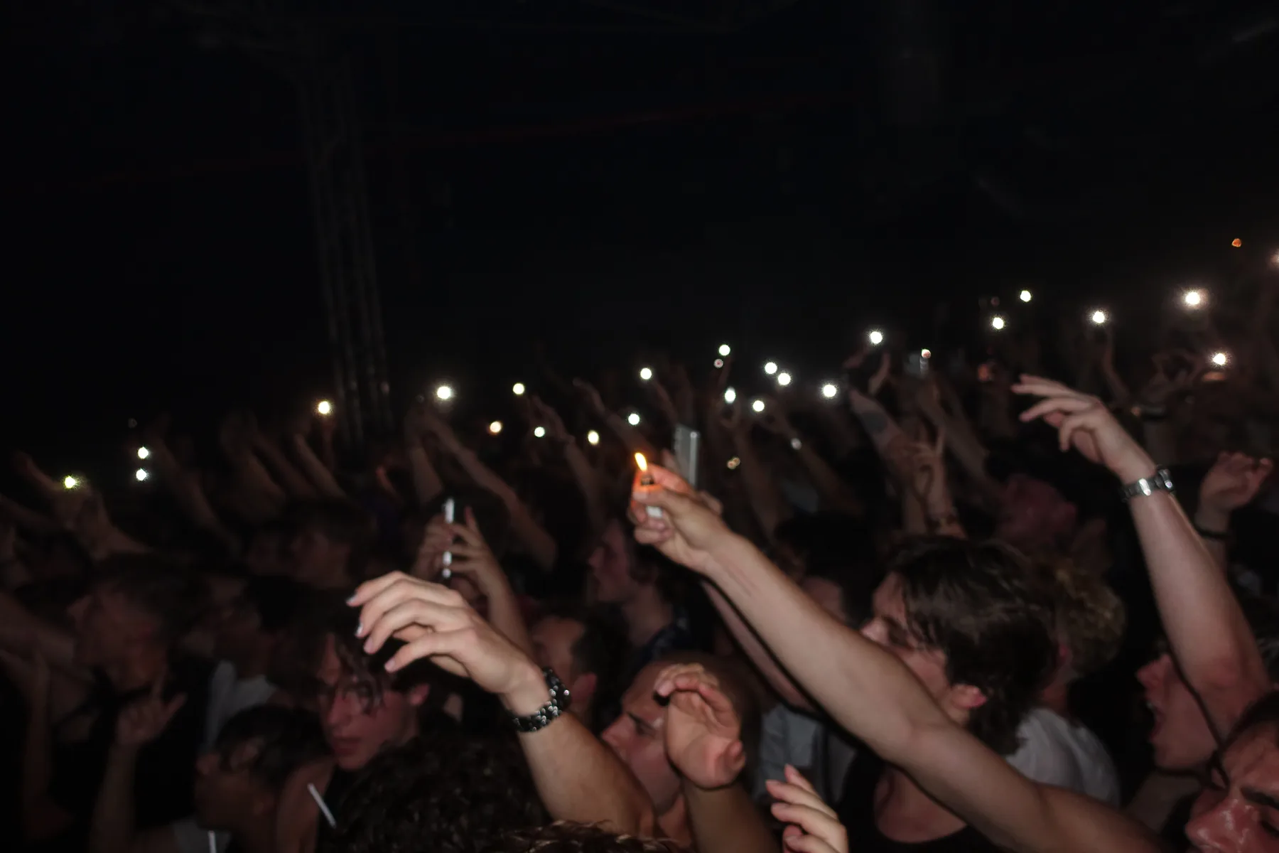Concert audience