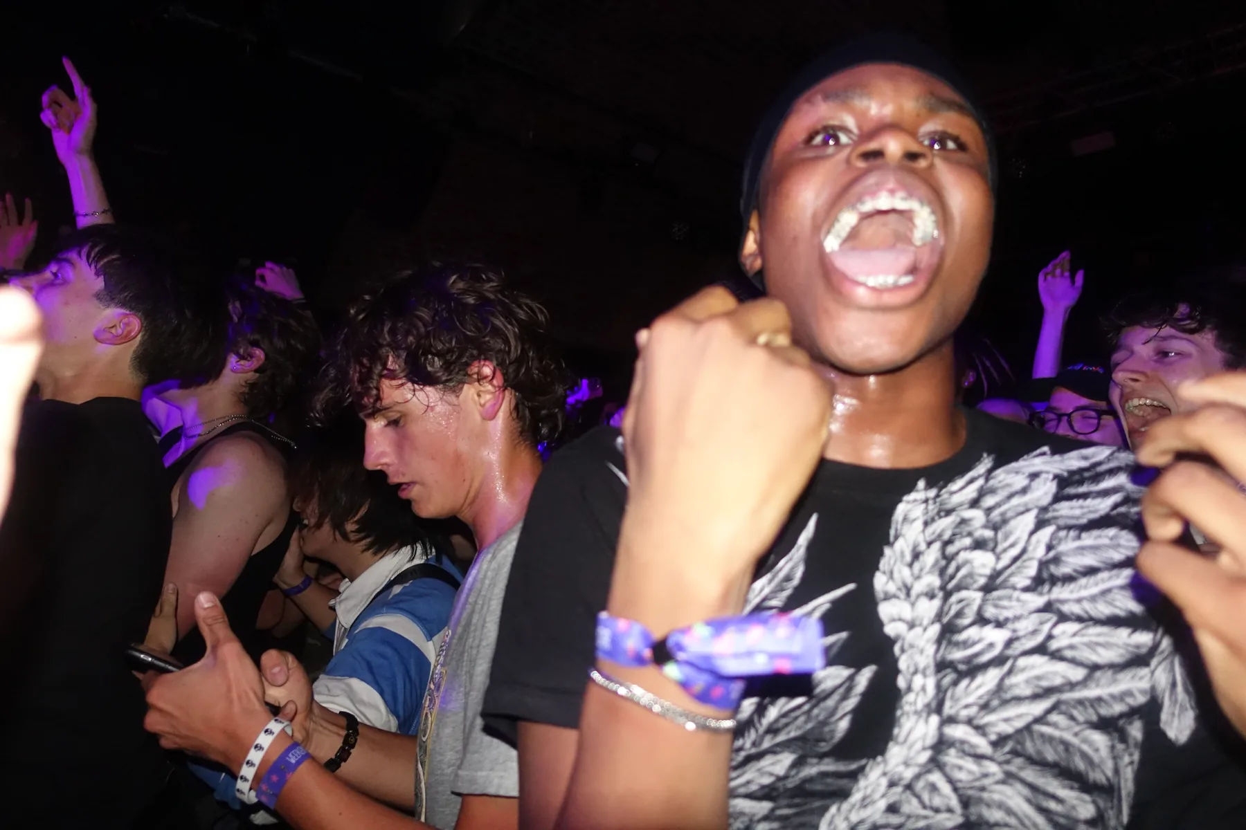 Audience portrait